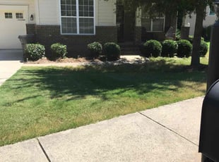 Bush Trimming by James Neely for Tracy S. in Charlotte, NC