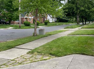 Eric F.'s Lawn Mowing service result