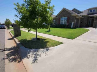 Tuan L.'s Lawn Care service result