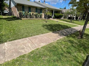 Juneanne S.'s Lawn Mowing service result