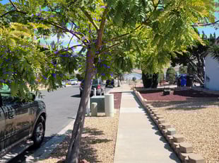 Cleanups by Keith Dalke for Blair K. in San Diego, CA