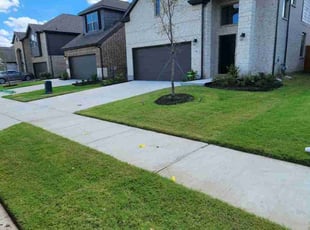 Djara I.'s Grass Cutting service result
