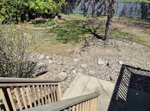 Cleanups by David Gallaway for Holly B. in Woodbury, MN