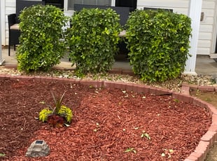 Bush Trimming by Jarod Gore for Tonya F. in Stonecrest, GA