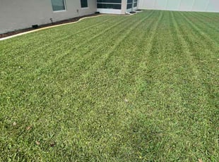 David W.'s Lawn Mowing service result