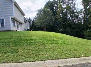 Randy W.'s Lawn Care service result