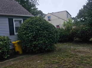 Bush Trimming by Yobani Benitez for Maurice F. in Glen Burnie, MD