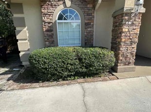 Bush Trimming by Jeremy Faulk for Lance R. in Jacksonville, FL