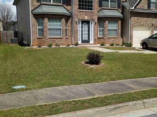 Eriq B.'s Lawn Mowing Service service result