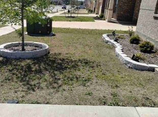Weeding by John Brown for Jamaica G. in Princeton, TX
