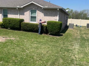Bush Trimming by JosΓ© Peraza for David V. in Rockwall, TX
