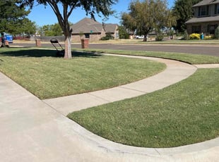 Patience M.'s Yard Cutting service result