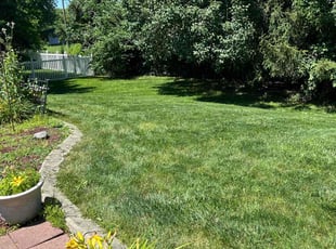 Julie L.'s Lawn Mowing service result