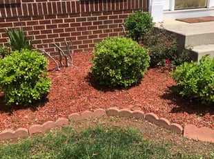 Weeding by David Featherstone for Stacey C. in Bowie, MD