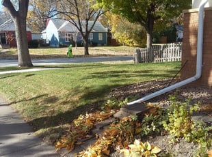 Leaf Removal by Nathan Taylor for Matthew E L. in Minneapolis, MN