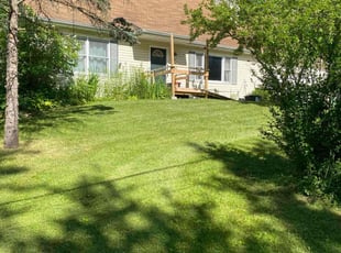 JJoel B.'s Lawn Maintenance service result