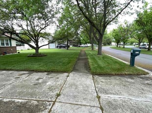Michael N.'s Grass Cutting service result
