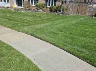 Carl C.'s Grass Cutting service result