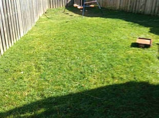 Agia T.'s Grass Cutting service result