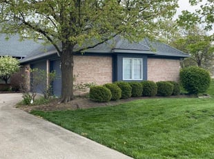 Cleanups by Jared Clapsaddle for Carolyn H. in Trenton, OH