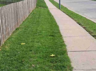 Ricky P.'s Lawn Mowing service result