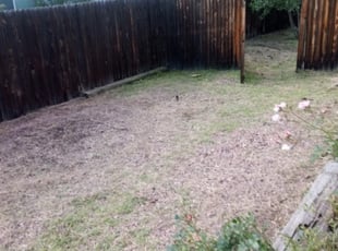 Landscaping by Michael Griego for Tony N. in Colorado Springs, CO