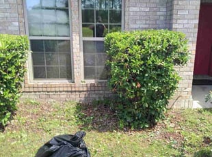 Bush Trimming by Trenton Martindale for Avery H. in Navarre, FL