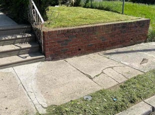 Alicia H.'s Lawn Mowing Service service result