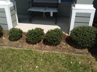 Leaf Removal by Jose Rivas for Eva E. in Corpus Christi, TX