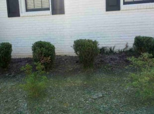 Bush Trimming by Donald Patterson for Breyenna C. in Norcross, GA