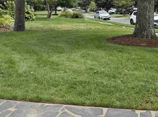 Joyce H.'s Lawn Service service result