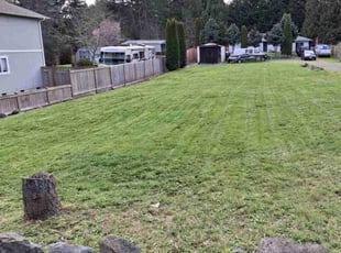 Kit S.'s Lawn Mowing Service service result