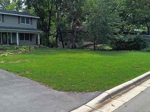 Ronald S.'s Lawn Mowing Service service result