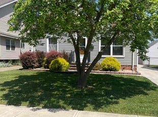 Rene P.'s Lawn Mowing service result