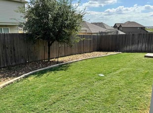 Nicholas G.'s Lawn Mowing service result