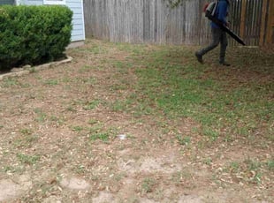 Leaf Removal by Jason Salazar for Melanie D. in Helotes, TX