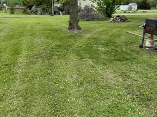 Rashanda S.'s Lawn Care service result