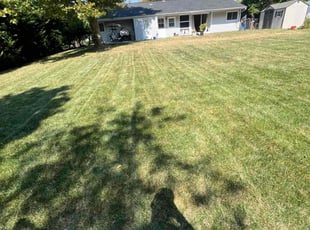 Brandon R.'s Lawn Mowing service result