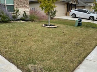 Suzanne S.'s Yard Cutting service result