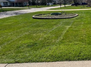 Carolyn A.'s Lawn Service service result
