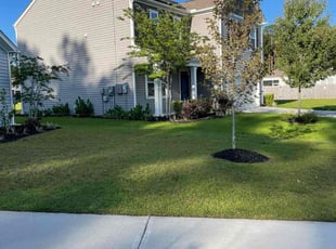 Kim H.'s Lawn Mowing Service service result