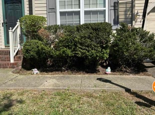 Bush Trimming by Davon Lightfoot for Dhimi-Gustavo G. in Sandston, VA