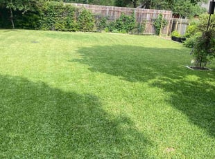 Kristen T.'s Lawn Mowing Service service result