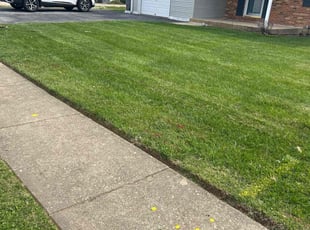 David W.'s Lawn Care service result