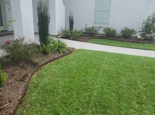 Deb S.'s Lawn Mowing service result