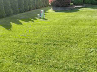 Sabrina N.'s Lawn Service service result