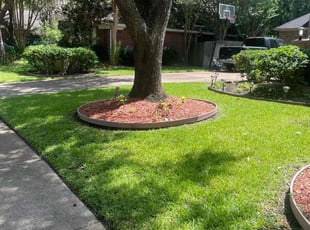Glenn K.'s Lawn Mowing service result