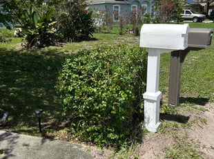 Bush Trimming by Quinton Davis for Sue M. in Kissimmee, FL