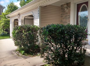 Bush Trimming by Tavon Floyd for Dion H. in Abingdon, MD