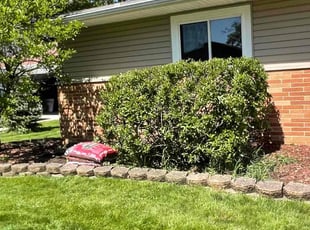 Bush Trimming by Juan Reynoso for Tami C. in Eastlake, OH